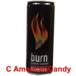 Burn Energydrink Dose incl. Pfand